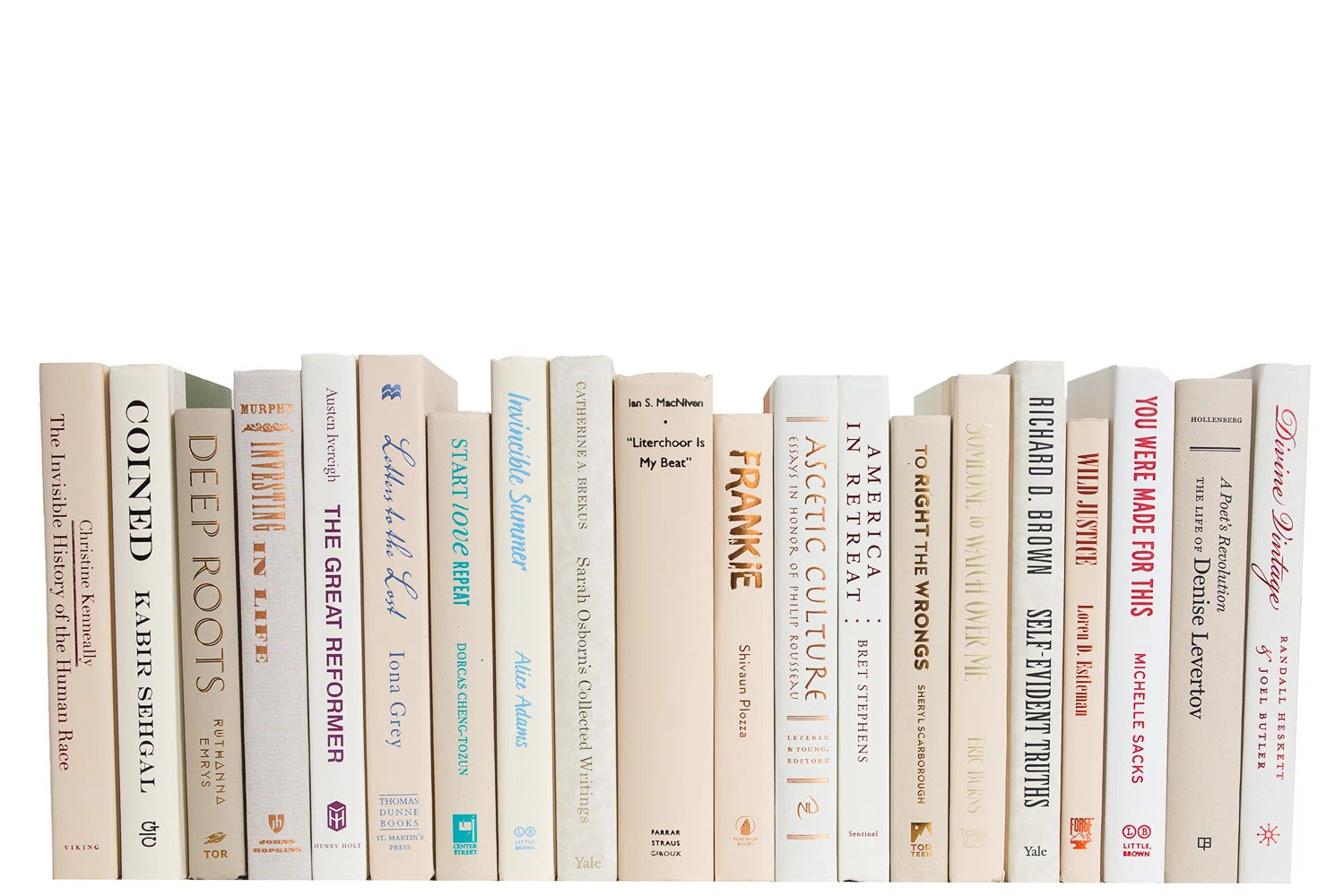 Modern Beach: Color By The Foot | Wayfair North America