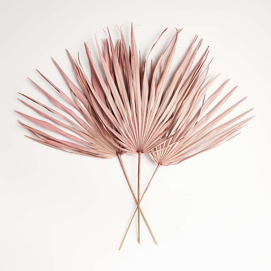 Pink Paper Palms, Set of 3 | Crate and Barrel | Crate & Barrel