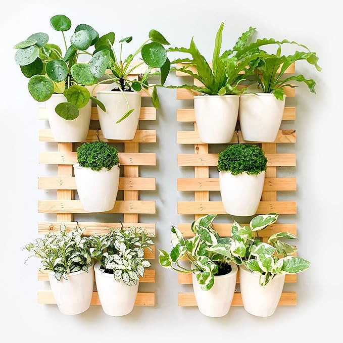 ShopLaLa Wooden Wall Planter - 2 Pack Wall Hanging Planters for Indoor Plants Ladder Wall Mount N... | Amazon (US)