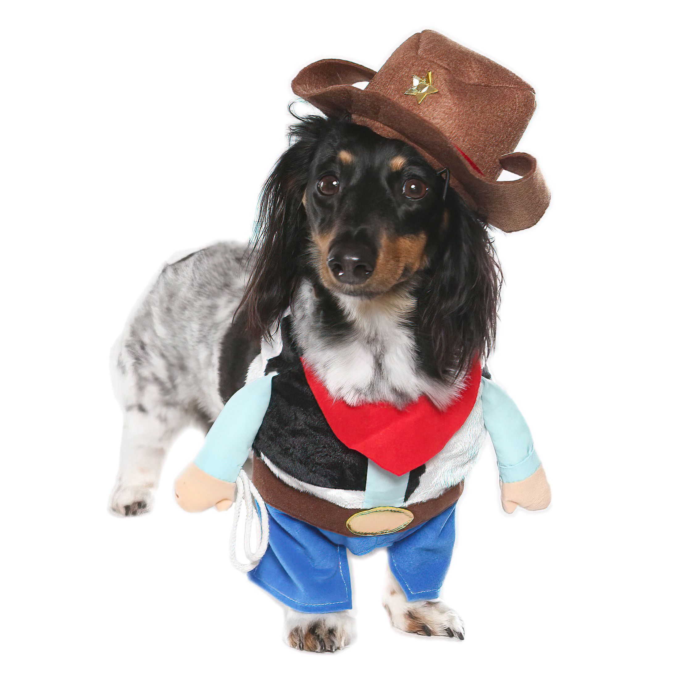 Vibrant Life Halloween Dog Costume and Cat Costume: Cowboy, Size Small | Walmart (US)