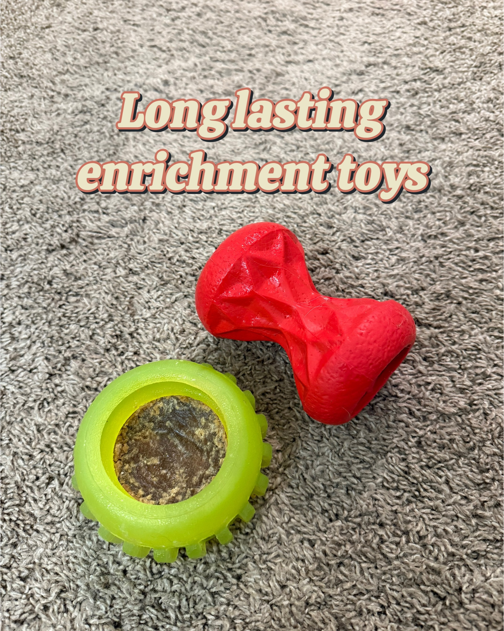 Two of our favorite long lasting enrichment toys!! 

Lower left: Starmark everlasting treat sprocket 
Right: Doudele interactive toy 