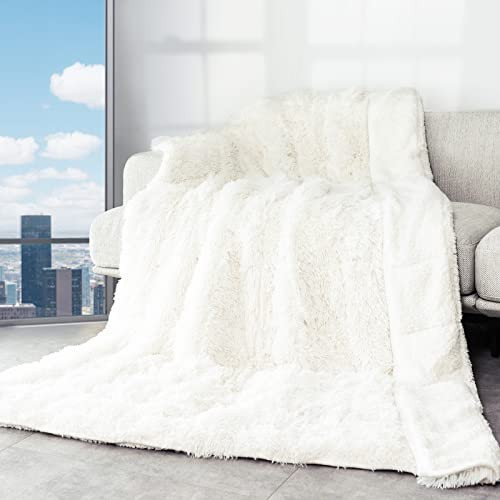 Cottonblue Fluffy Weighted Blanket 20lbs, Luxury Fuzzy Faux Fur Weighted Blanket Throw for Adults, Long Fur Shaggy Snugly Blanket Cosy Winter Blanket for Home Decor, 60"x80", Cream White | Amazon (US)