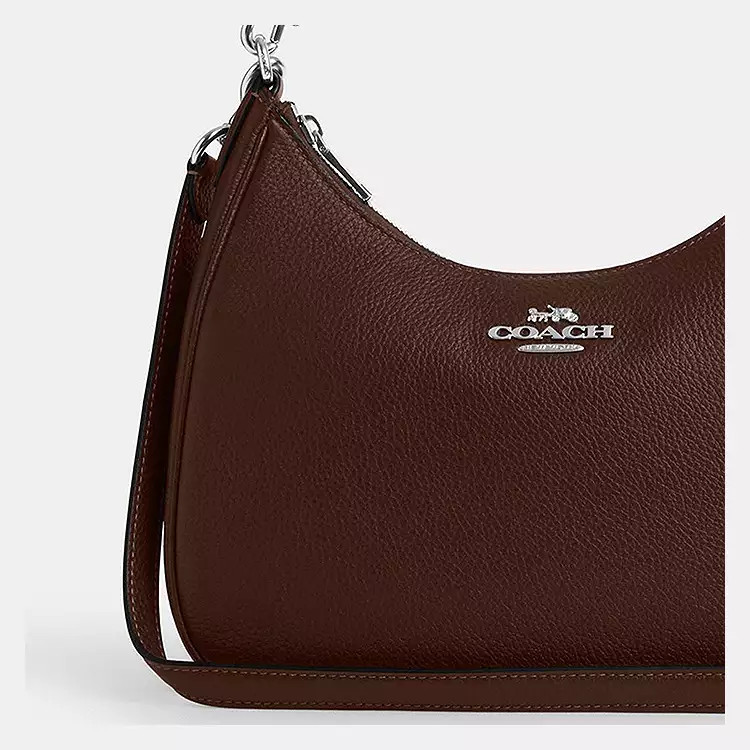 Teri Hobo Bag | Coach Outlet US
