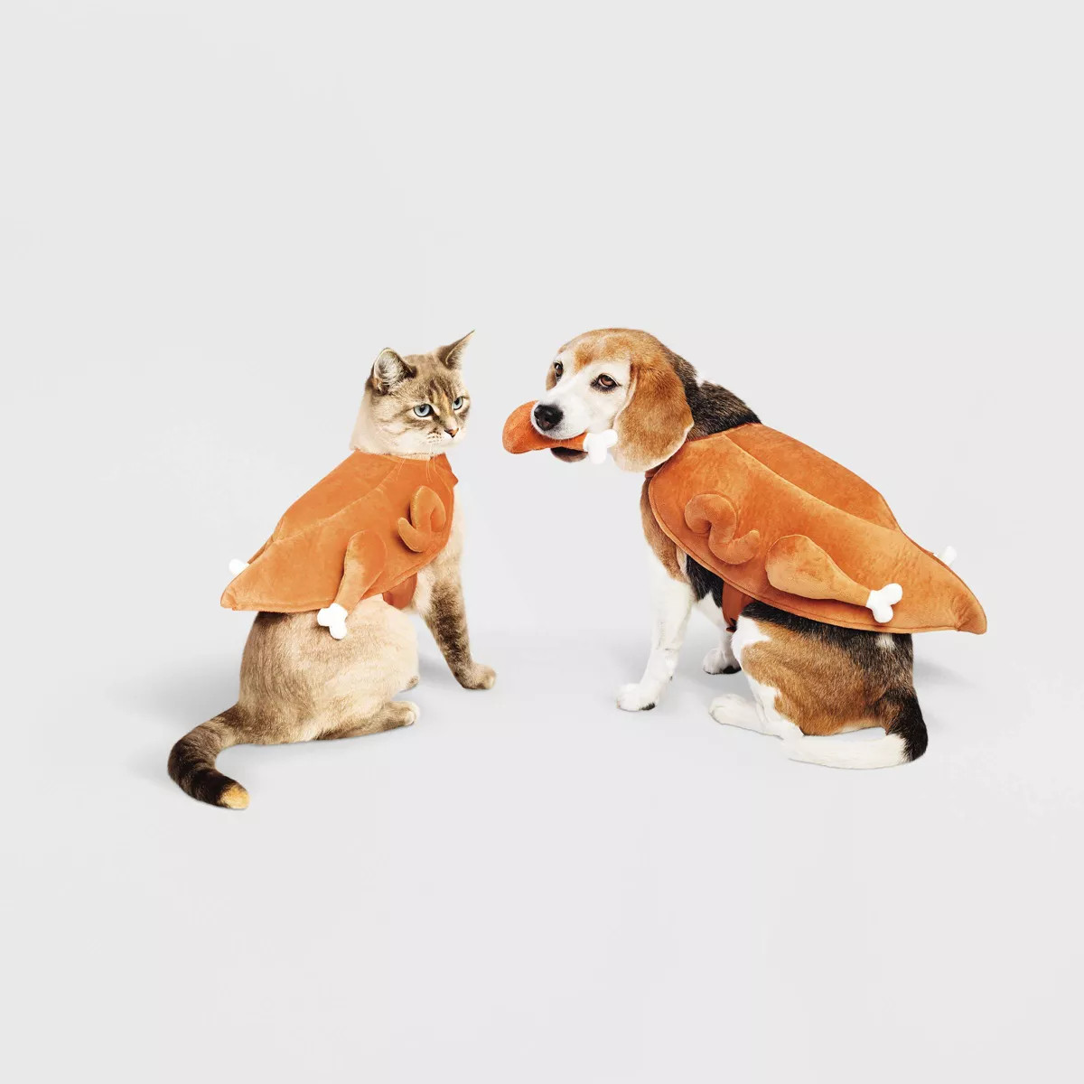 Turkey Full Body Halloween Dog and Cat Costume with Turkey Leg Toy - Boots & Barkley™ | Target