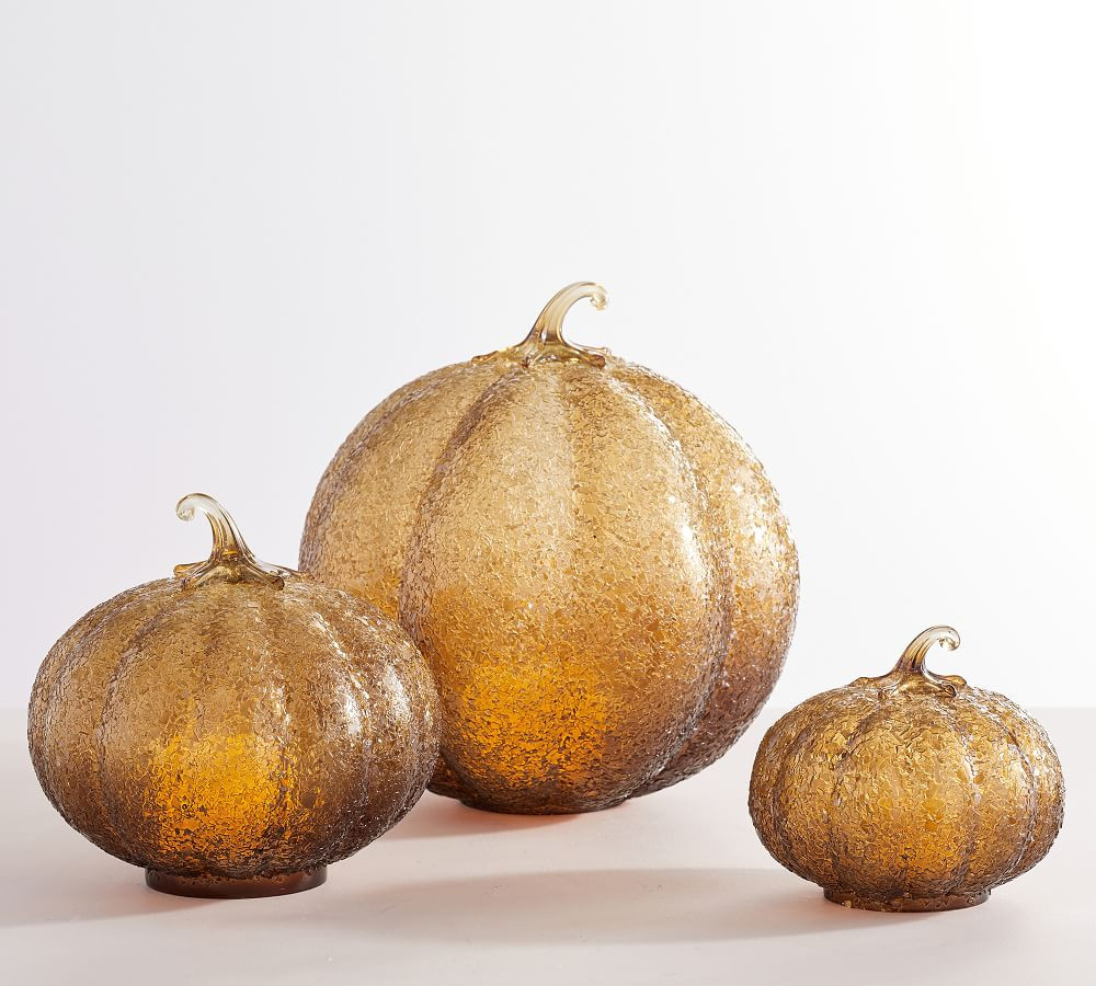 Textured Glass Amber Pumpkin Cloche | Pottery Barn (US)