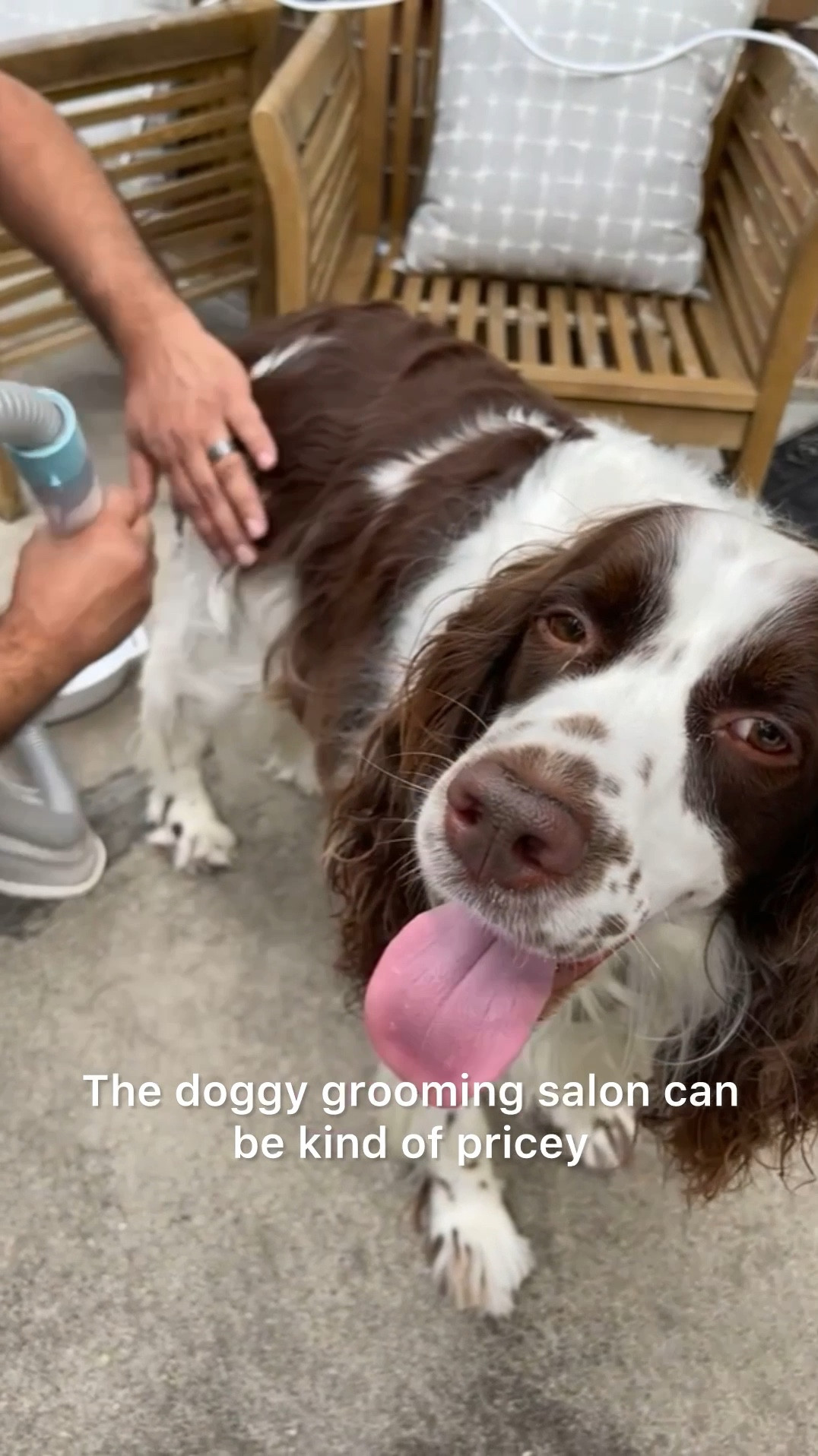 Gift idea for pet parents - an all in 1 grooming kit keeps fur babies looking silly smooth. This grooming kit helps us manage all the shedding by brushing, detangling, de-shedding, de-matting…
You can even trim your dogs further with the clippers that are included. And there is a vacuum to suck up all the hair, so you don’t have to deal with the mess! 

It literally does everything except bathe your dog for you! Once your puppy is clean, it even becomes a vacuum to dry their fur. 

It is specifically made for pets, so the volume level is very low, ensuring that you’re not hurting your dogs ears, and the heat is just enough to get them dry without burning their skin. We love this, because it makes the whole dog grooming experience safe and stress-free for both of us!#LTKxPrimeDay

#LTKFamily #LTKVideo #LTKGiftGuide