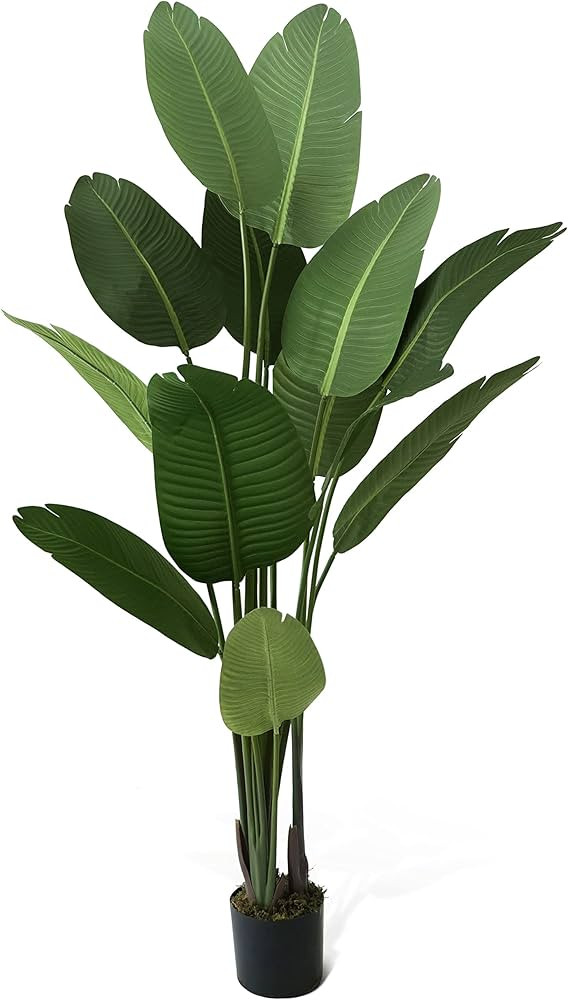 CAPHAUS 6 Feet Artificial Bird of Paradise, 72 Inch with 13 Trunks, Premium UV Resistant Lifelike... | Amazon (US)