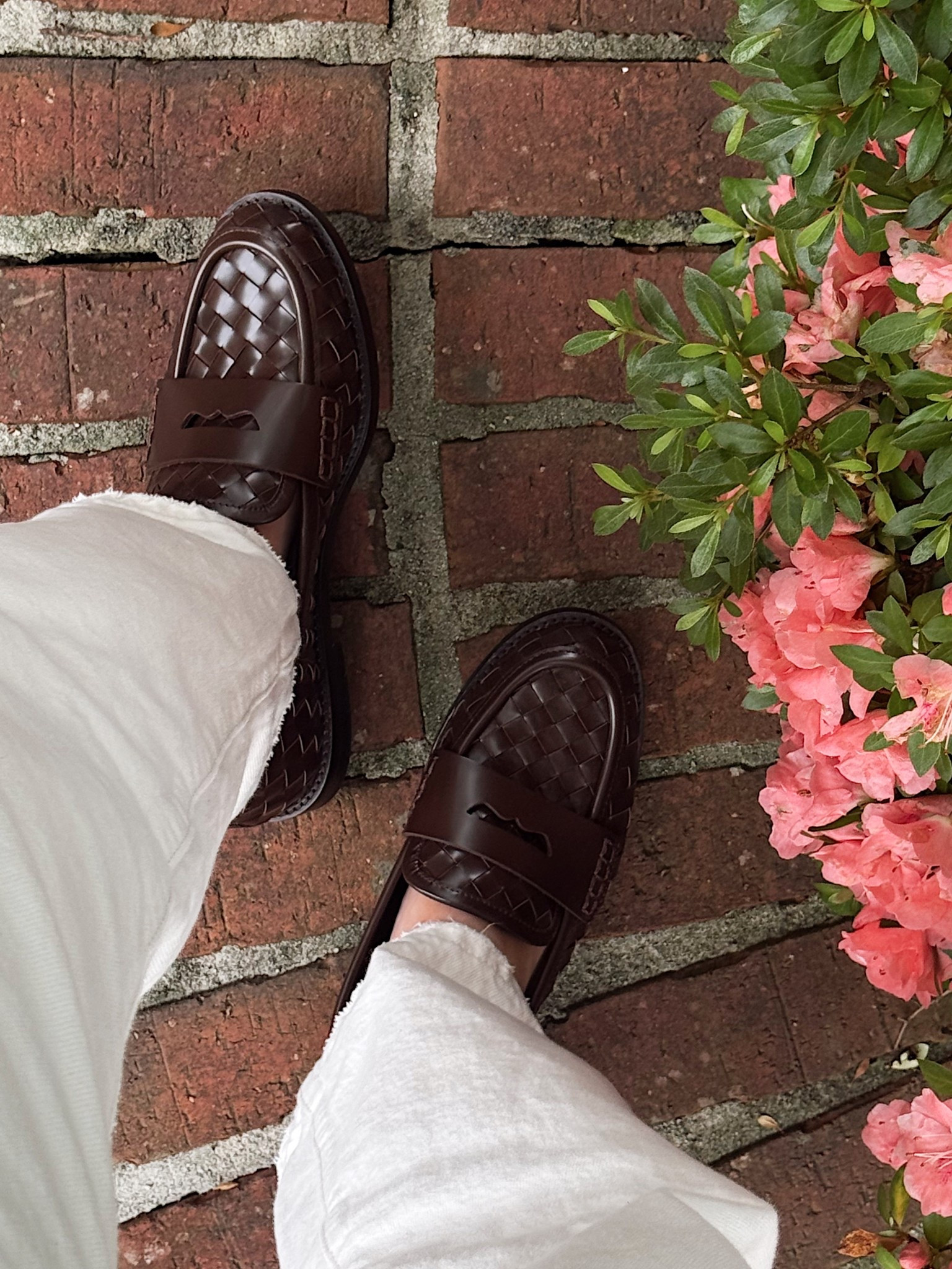 new obsession 🤎 


#LTKWorkwear #LTKShoeCrush #LTKStyleTip