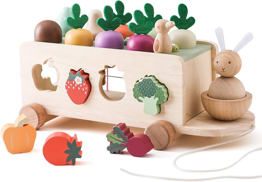 OESSUF Montessori Toys Toddlers Wooden Educational Toys for Baby Boys Girls, Shape Sorting & Matc... | Amazon (US)