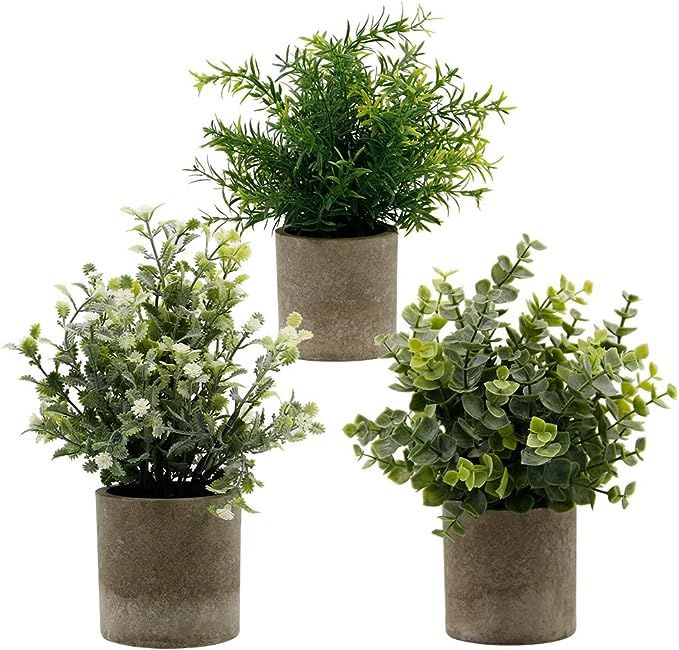 Zcaukya Small Potted Artificial Plants, Artificial Eucalyptus Plants Fake Rosemary White Baby's B... | Amazon (US)