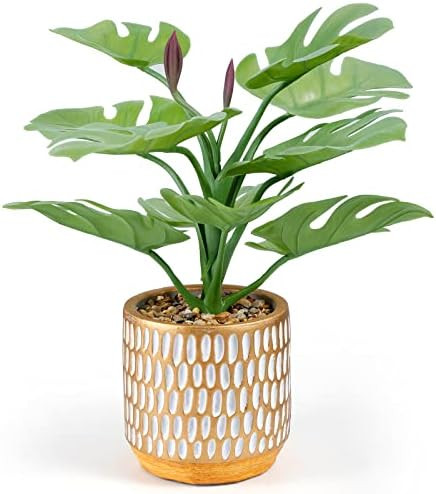 Faux Plants in Pot, Tropical Monstera Artificial Plants in Elegant Ceramic Pot,Potted Fake S... | Amazon (US)