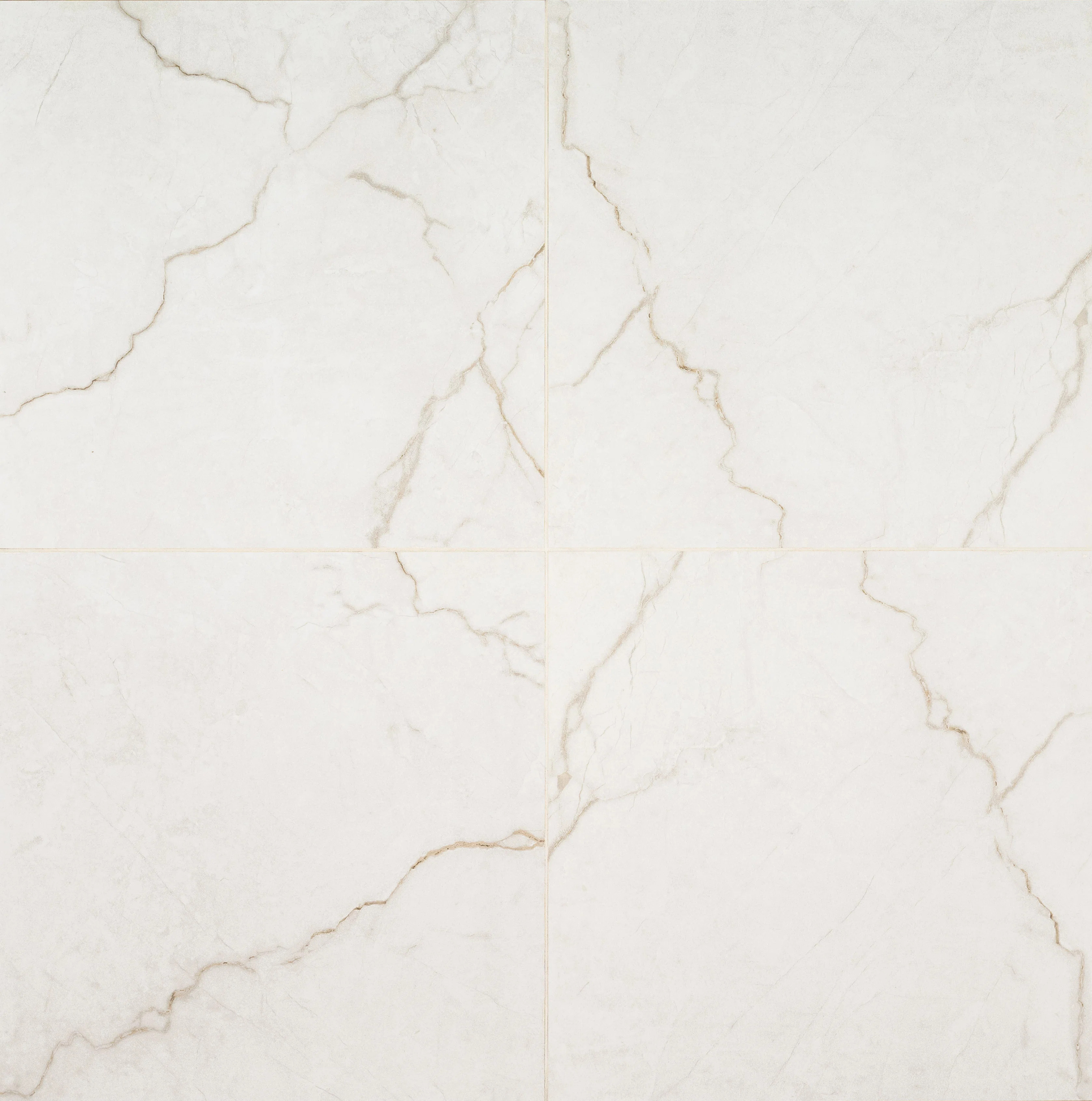 Beldale 24 in. x 24 in. Matte Porcelain Marble Look Floor and Wall Tile | Wayfair North America