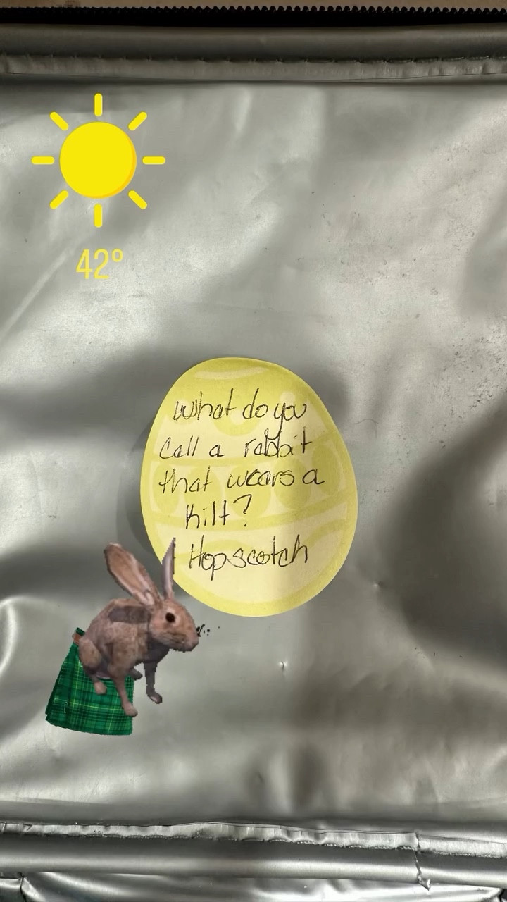 Darn it the bunny jumped out of his kilt

#LTKmomlife #LTKKids #LTKfoodie