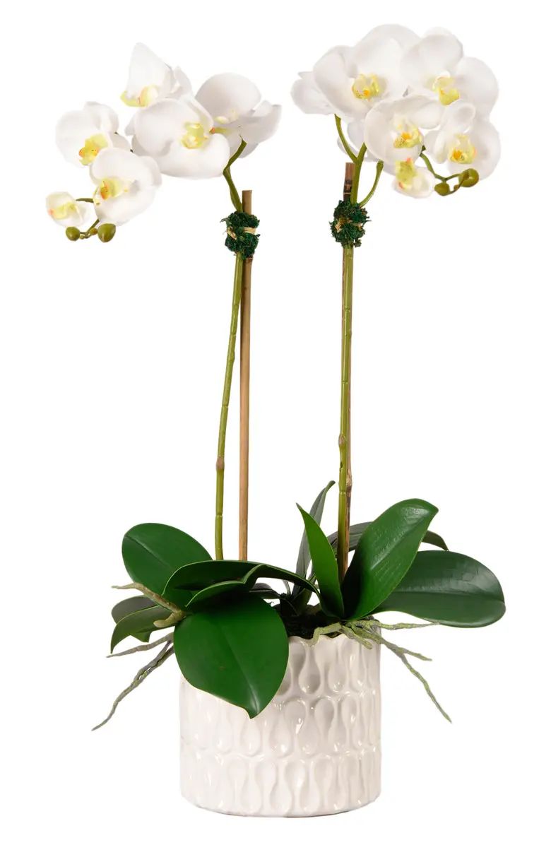 Casual Orchid Planter Decoration | Nordstrom