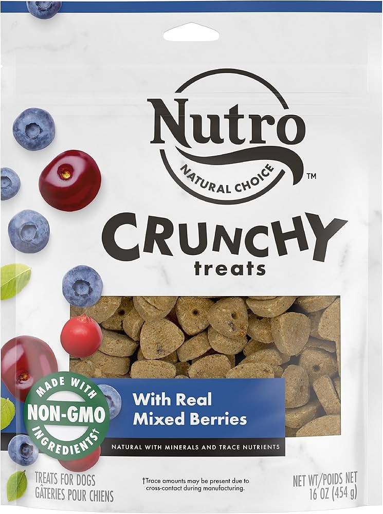 NUTRO Crunchy Dog Treats with Real Mixed Berries, 16 oz. Bag | Amazon (US)