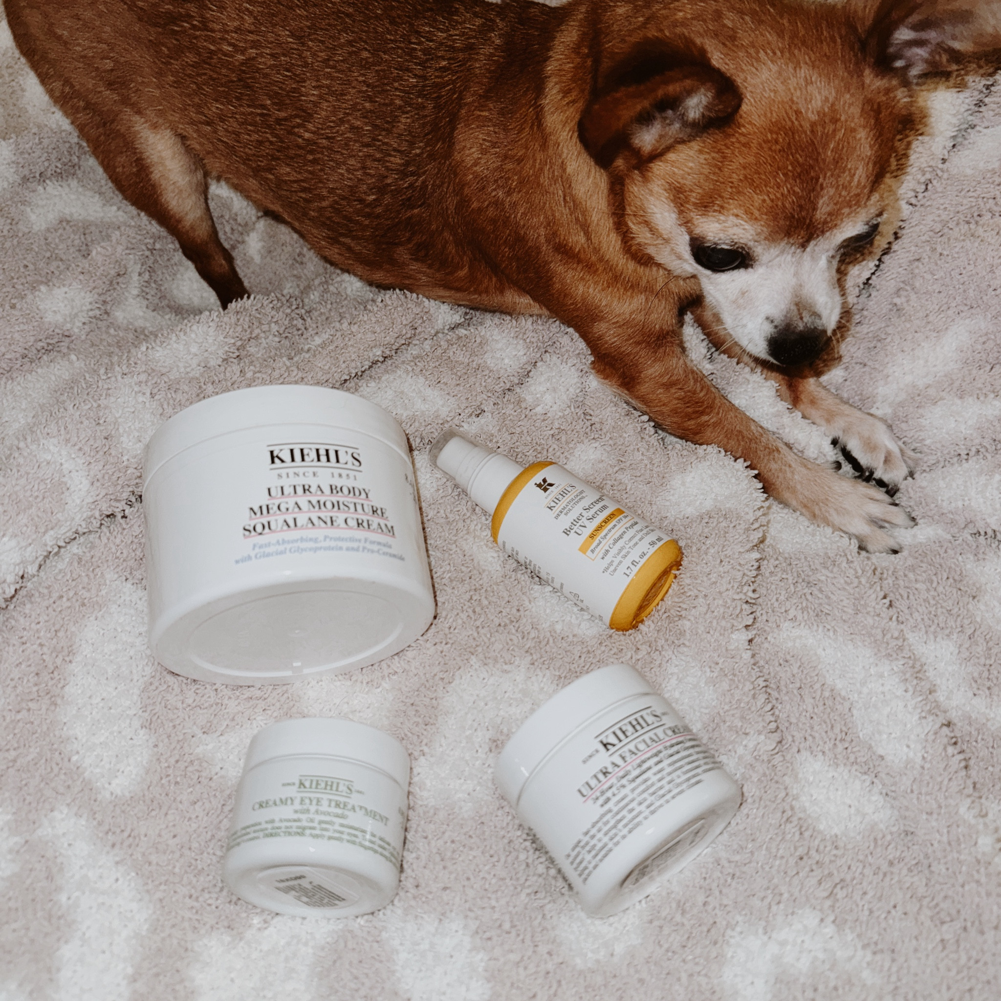 Check out the @Kiehls counter @nordstrom somerset and ask for Bethany for the full Kiehl’s treatment experience. My skin feels so glowy, dewy, and mositurized. 

Products used: 
Kiehl’s Ultra Facial Cleanser
Kiehl’s Daily Refining Milk-Peel Toner
Kiehl’s Hydro-plumping serum concentrate 
Kiehl’s Ultra facial cream
Kiehl’s Auto-Tone Discoloration & UV Solution

#Nordstrompartner @Kiehls @nordstrom #ad @nordstrombeauty