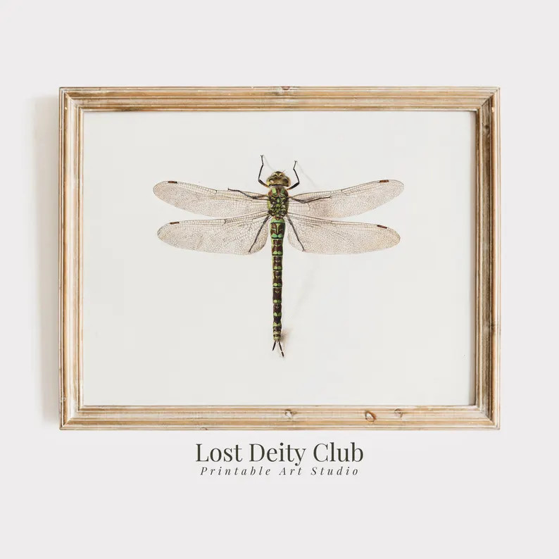 Dragonfly Art Vintage Sketch Print, Minimalist Nature Wall Art PRINTABLE Entomology Insect Art, R... | Etsy (US)