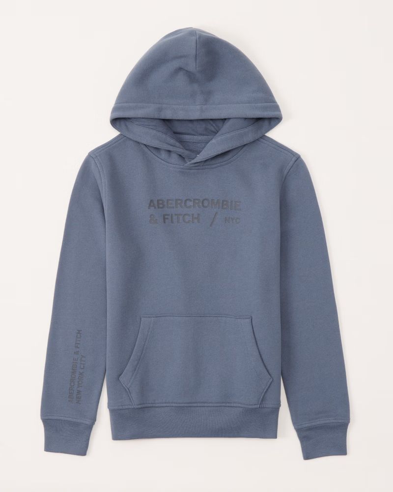 logo hoodie | Abercrombie & Fitch (US)