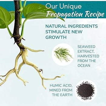 Houseplant Prop Drops - Propagation Promoter & Root Growth Hormone | Root Stimulator for Cuttings... | Amazon (US)