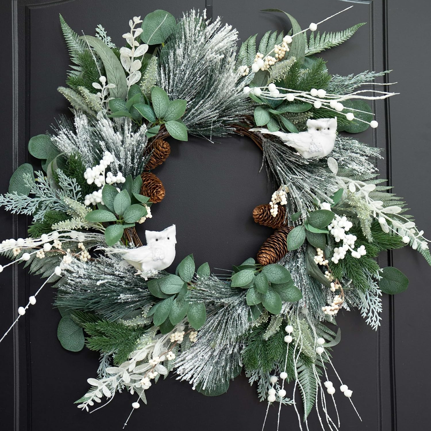 Winter Wreaths for Front Door 24 Inch Snowy Flocked Christmas Wreath Artificial Green Olive Eucal... | Amazon (US)