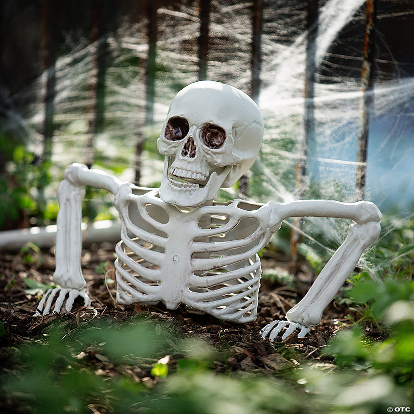 15 3/4" x 10 3/4" Tabletop White Plastic Half Skeleton Halloween Decoration | Oriental Trading Company