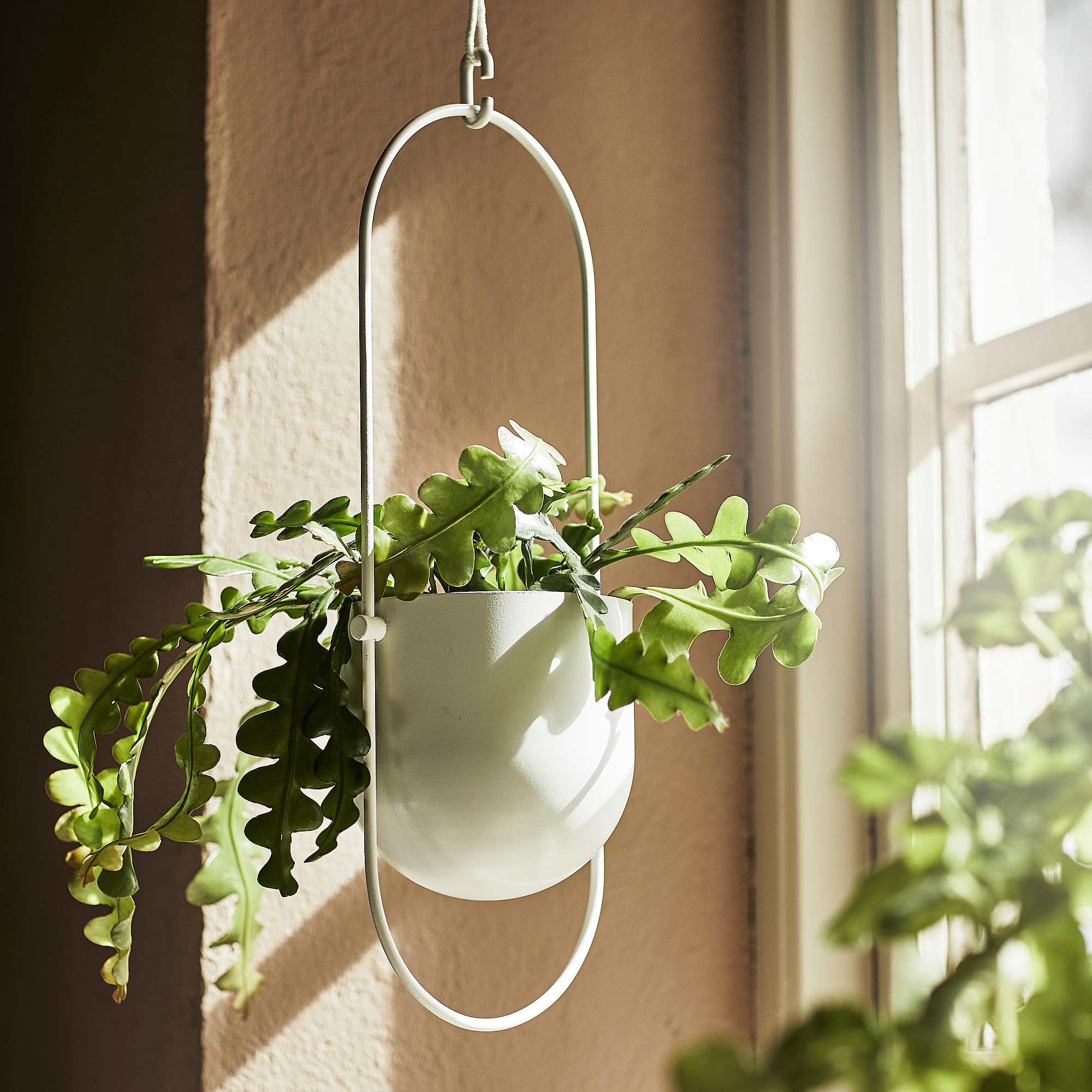 CHILISTRÅN Hanging planter, indoor/outdoor white, 4 ¾ " | IKEA US