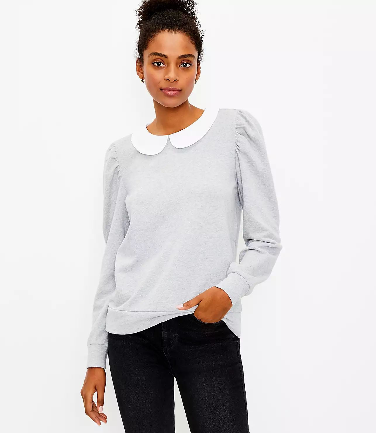 Collared Sweatshirt | LOFT
