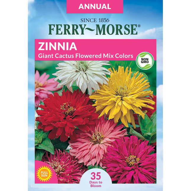 Ferry-Morse Zinnia Giant Cactus Seeds 0.575-Gram | Lowe's
