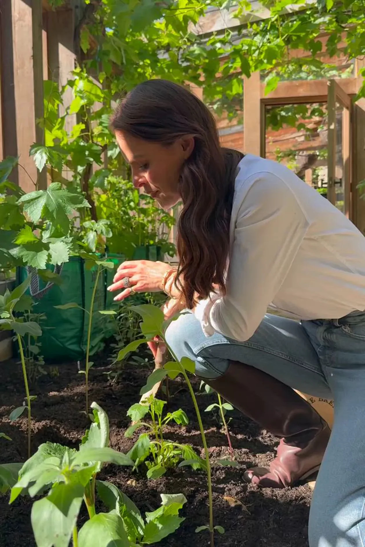 Single Wick Candle (The Kitchen Garden) | Holland Cooper