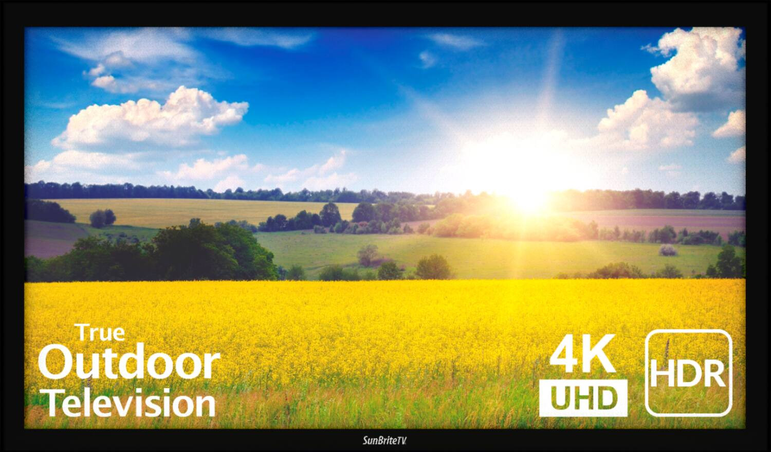 SunBriteTV Pro 2 Series 65 inch 4K UHD Outdoor TV Full Sun SB-P2-65-4K-BL - Best Buy | Best Buy U.S.