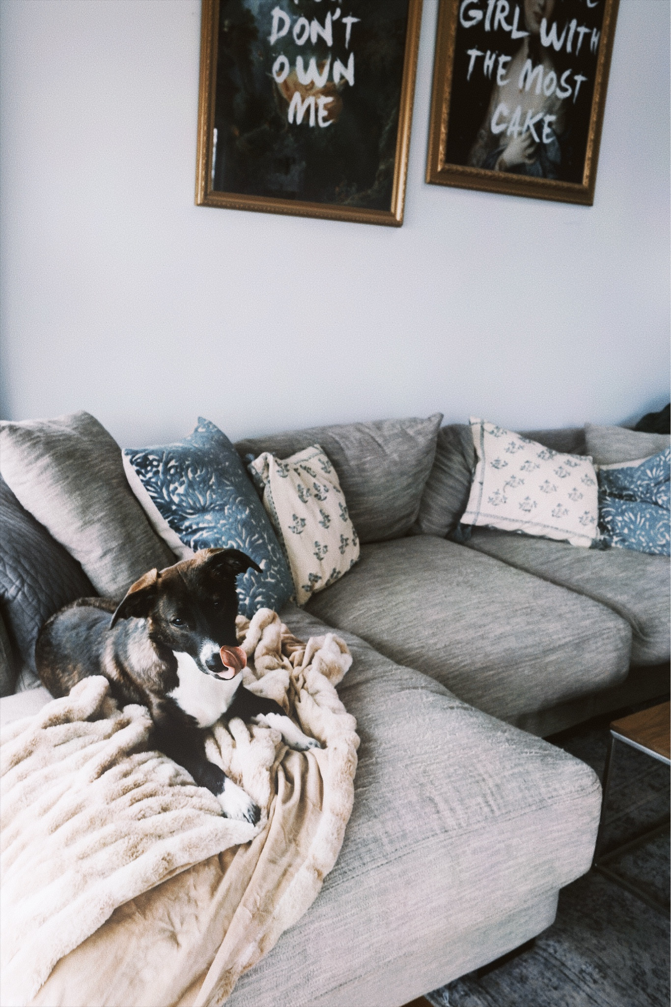 I can’t link much in my living room, but the blanket is so soft and the QuoteHouse prints are fantastic! The artist has a ton of options and you can customize the quotes.

Etsy wall art, living room blanket, living room art, living room decor 

#LTKfindsunder50 #LTKhome #LTKfindsunder100