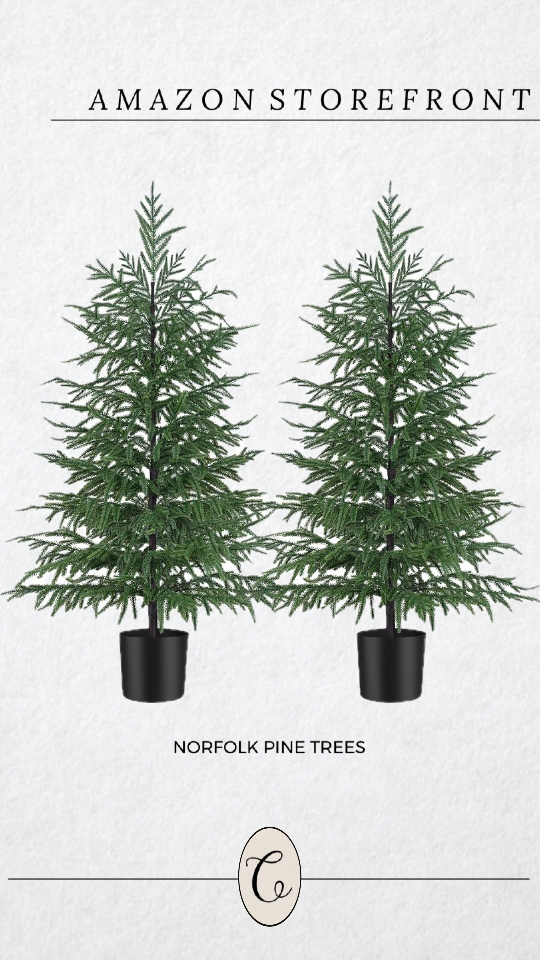 4ft Norfolk pine trees. Selling fast! 

#amazon #pinetree #christmastree #home #decor Amazon

#LTKSeasonal #LTKHome #LTKOver40