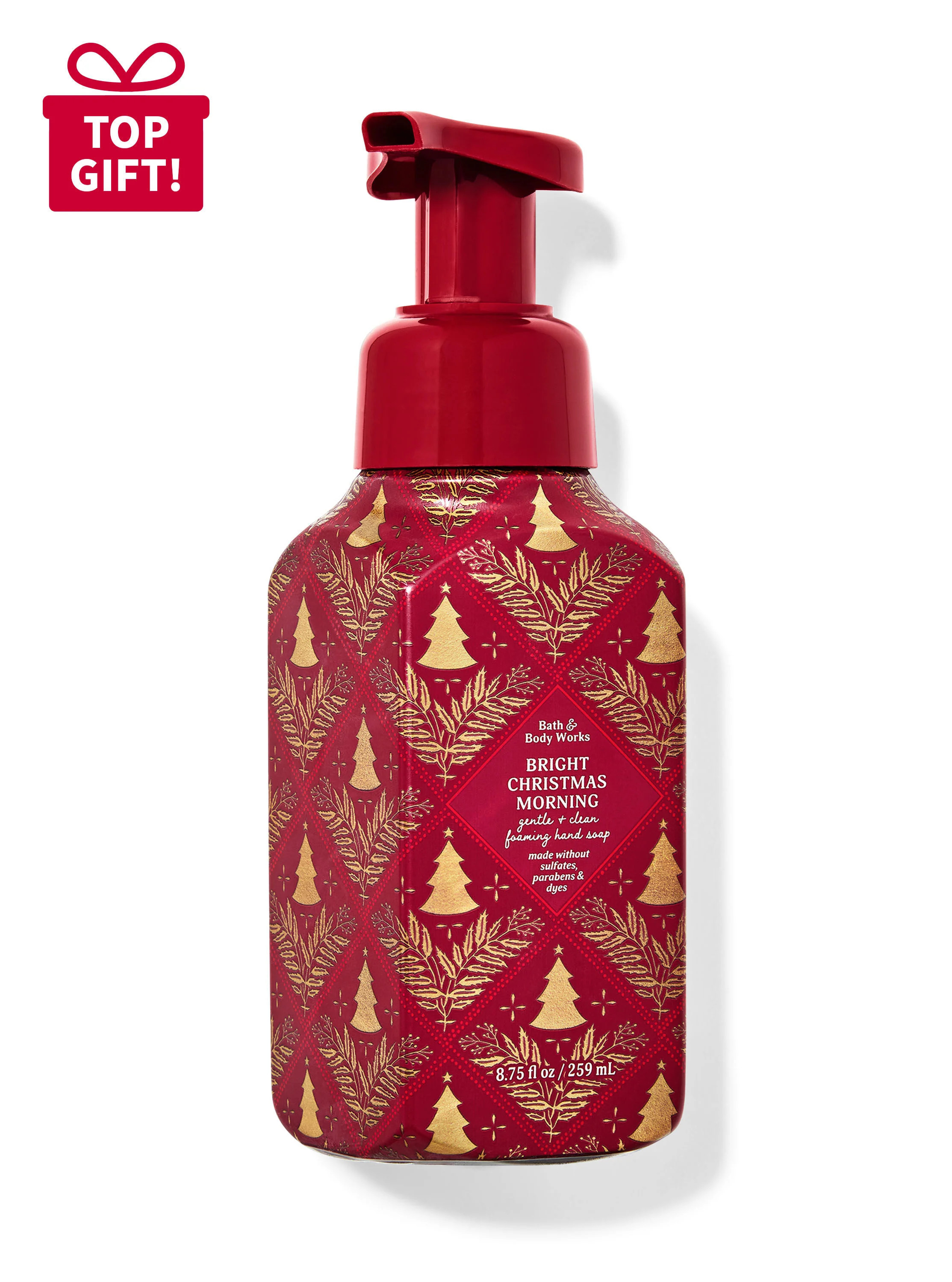 Bright Christmas Morning


Gentle & Clean Foaming Hand Soap | Bath & Body Works