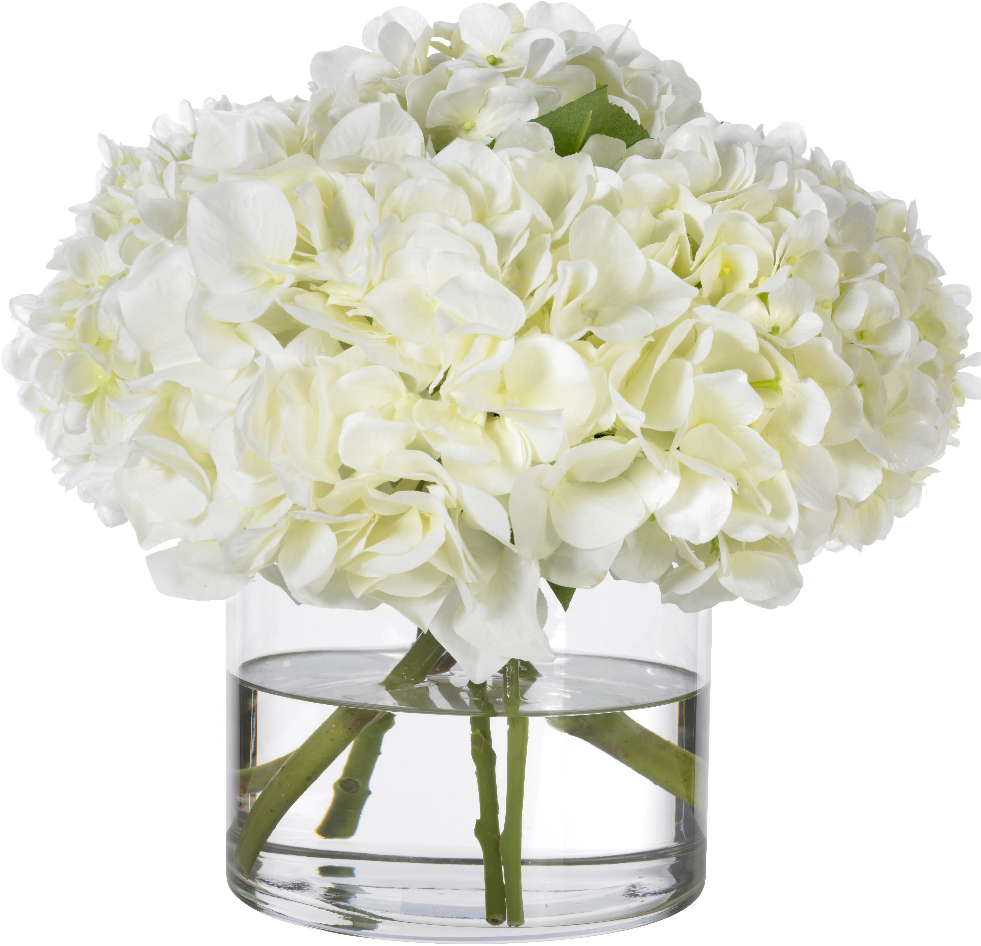 White Hydrangeas in Glass Cylinder Vase | Wayfair North America