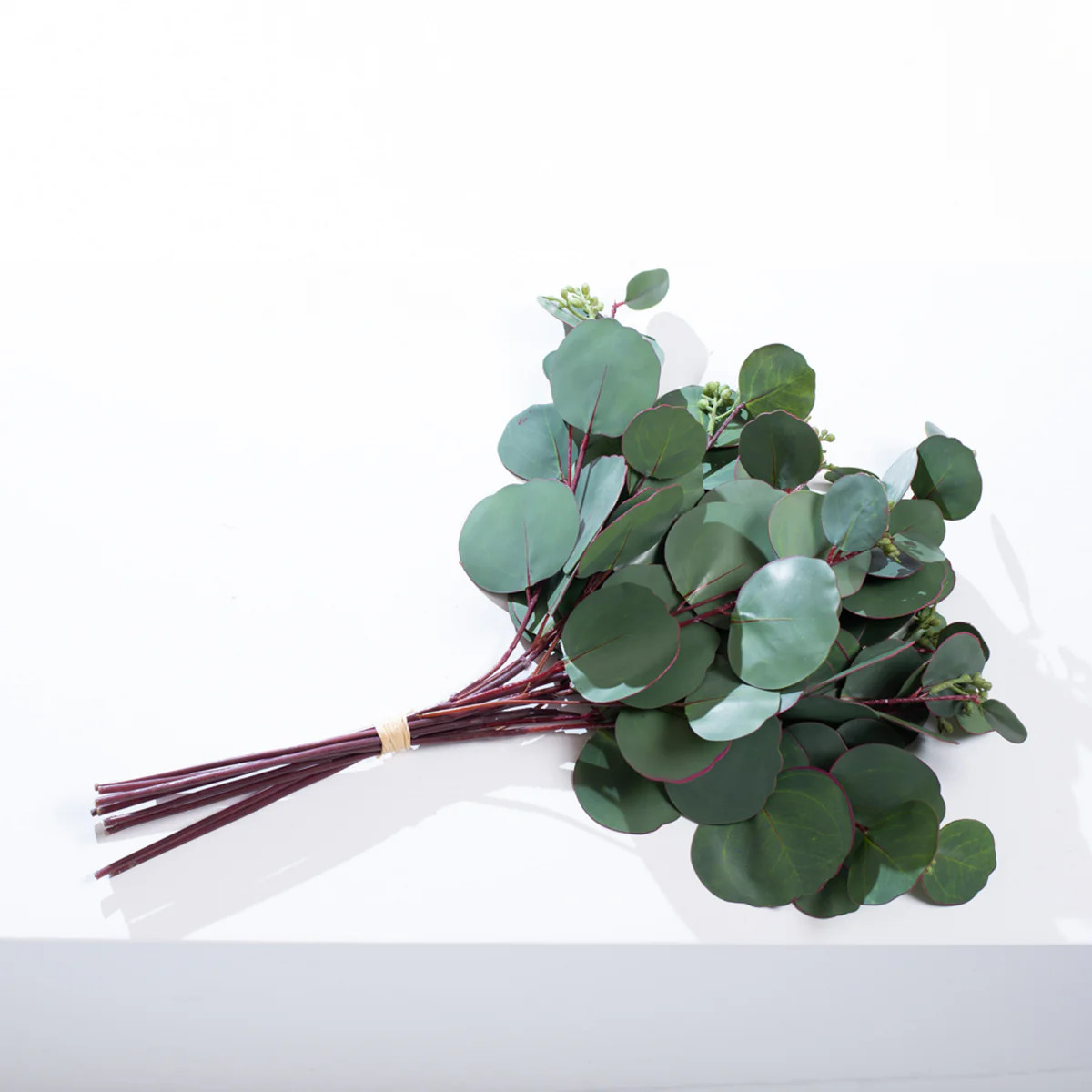 Real Touch Seeded Everyday Silver Dollar Eucalyptus 12 Stem Bundle Bouquet | Darby Creek Trading