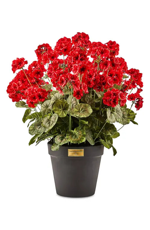 MACKENZIE CHILDS Red Geranium Urn Filler at Nordstrom | Nordstrom
