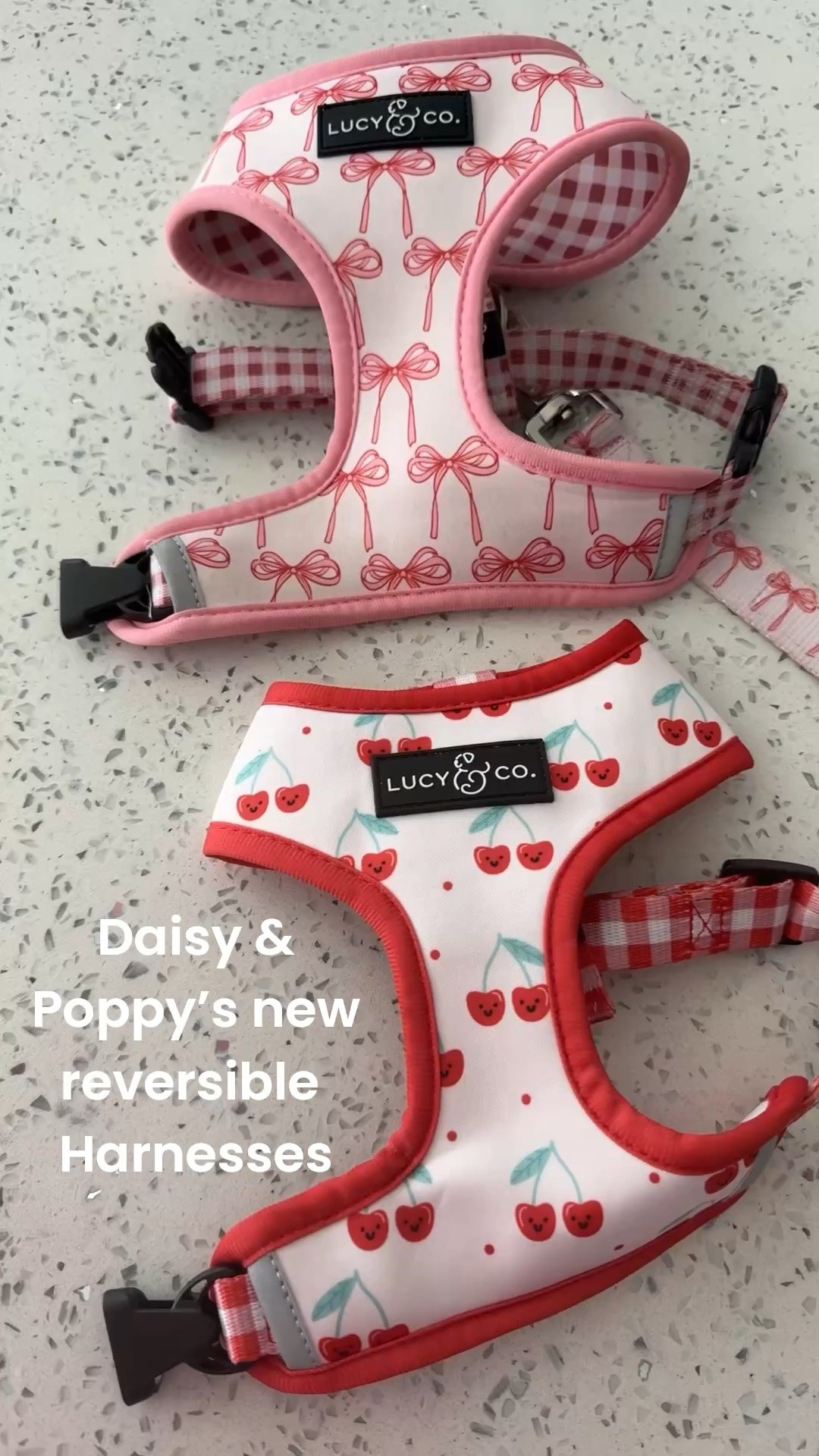 Morning walks just got even cuter with these adorable Amazon dog harnesses 🐾

Both of my pups now have one and I’m obsessed with the prints. The best part is they are reversible, so it’s basically two harnesses in one. They’re lightweight, comfortable for walks, and the matching leashes make the set even cuter.

If you love coordinating pet accessories or just want something functional that still looks adorable, these are such a great find.

Safe, comfy, and stylish for all our daily walks.

#DogMomLife #AmazonFinds #DogHarness #DogAccessories #DogMom #PetFinds #DogWalks #Cavapoo #DogStyle #AmazonPetFinds
