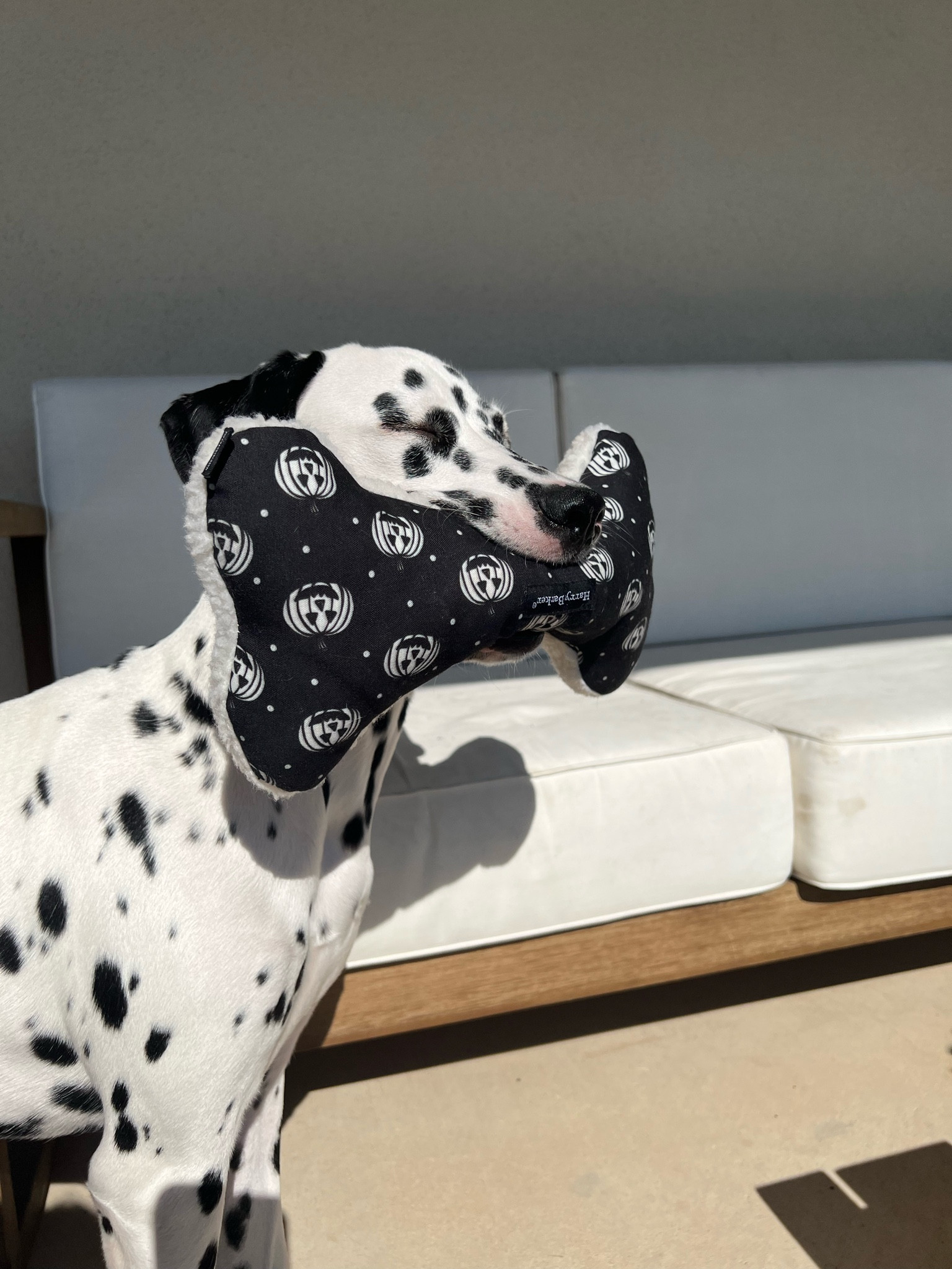 Halloween dog toys 👻

#LTKHalloween #LTKSeasonal #LTKGiftGuide