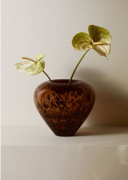 Tortoise shell vase, H&M Home, modern retro MCM

#LTKHome #LTKFindsUnder50