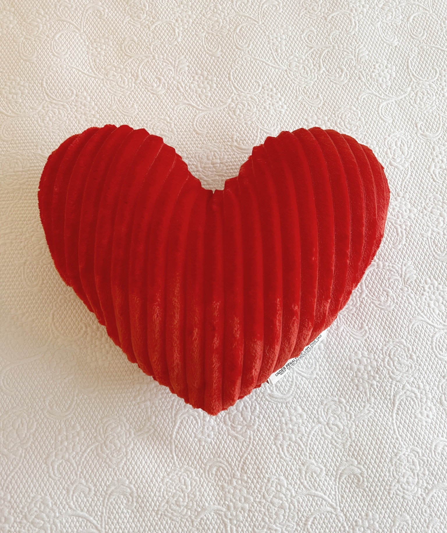 valentine’s day heart pillow

#vdaydecor #valentinesdaydecor #valentinesdaydecorations #valentinesdaydecorationideas #targetvalentines #targetvday

#LTKFind #LTKhome #LTKSeasonal