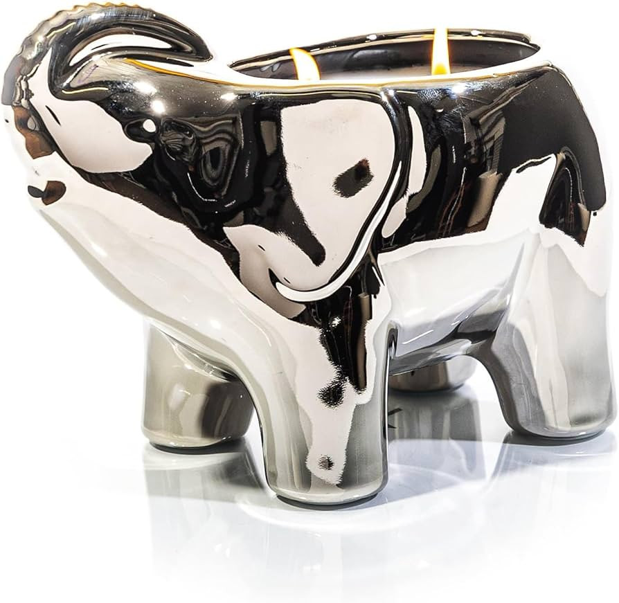 Luxury Elephant Scented Candle – Large 28oz Jar with Soy Wax Blend & 2 Cotton Wicks – Long Bu... | Amazon (US)