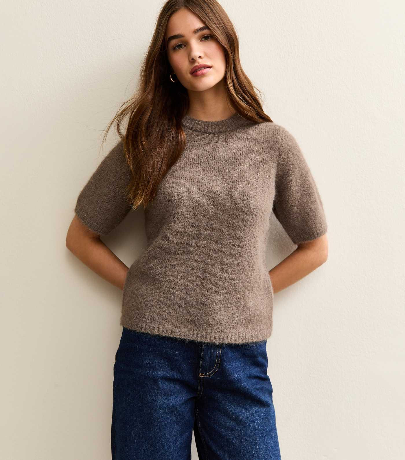 Mink Short Sleeve Knit Top | New Look | New Look (UK)