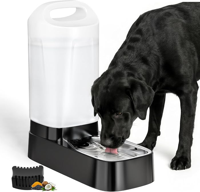 Automatic Dog Water Bowl Dispenser with Filter - 2.4 Gal Large Gravity Auto Pet Water Feeder Waterer with Stainless Steel Bowl & Easy Carry Handle for Large Dog Cat Multi Pet Use | Amazon (US)