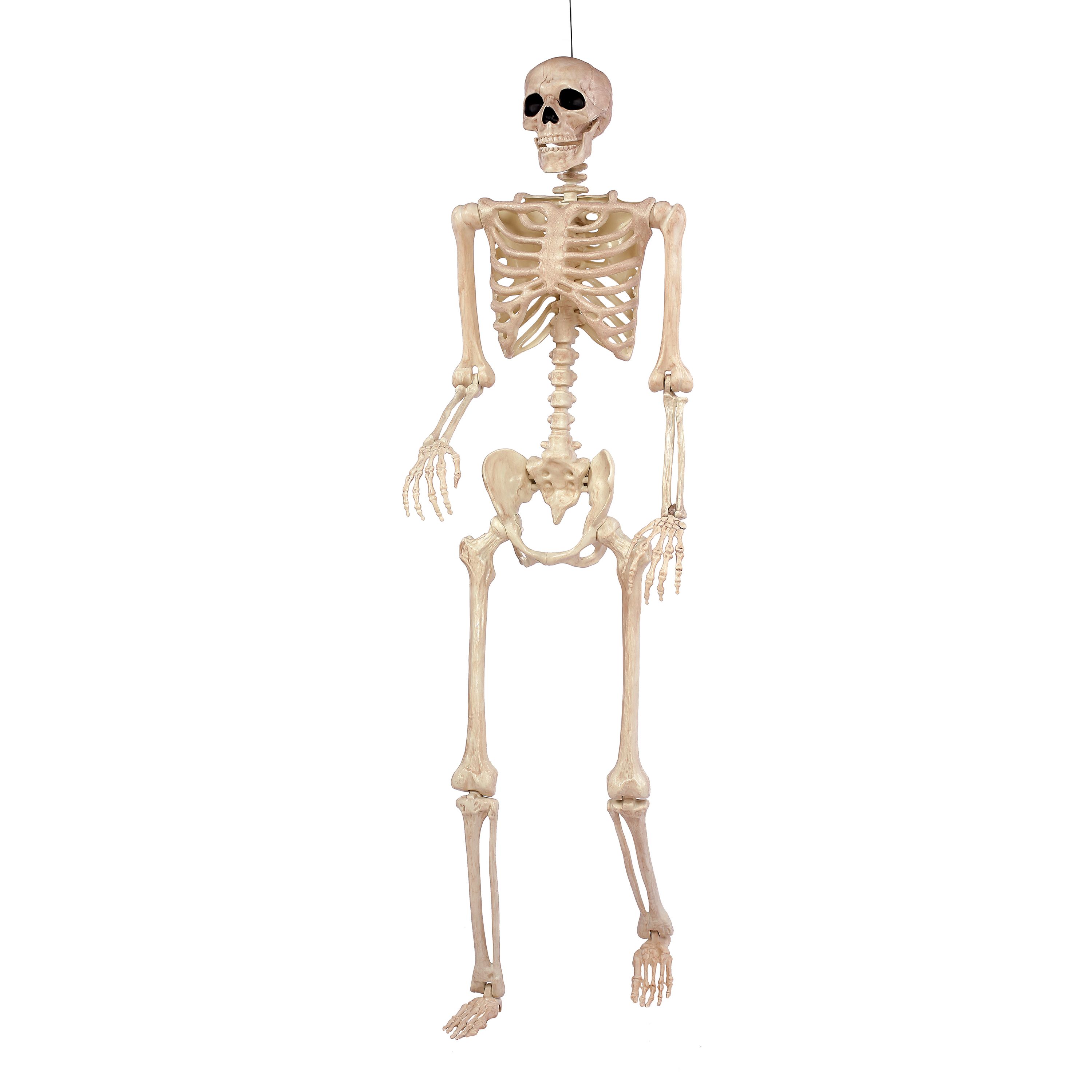 Antique Ivory Human Skeleton Halloween Decor | World Market
