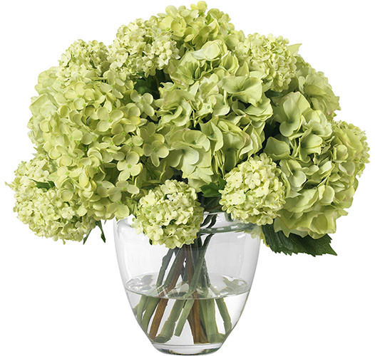Green Hydrangeas and Snowballs in Glass Vase | Diane James Home | Diane James Home