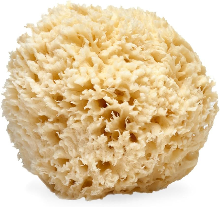 LATHER - Natural Sea Wool Sponge, 4-5" - Organic Exfoliating Body Scrubber - Soft, Gentle Cleansi... | Amazon (US)