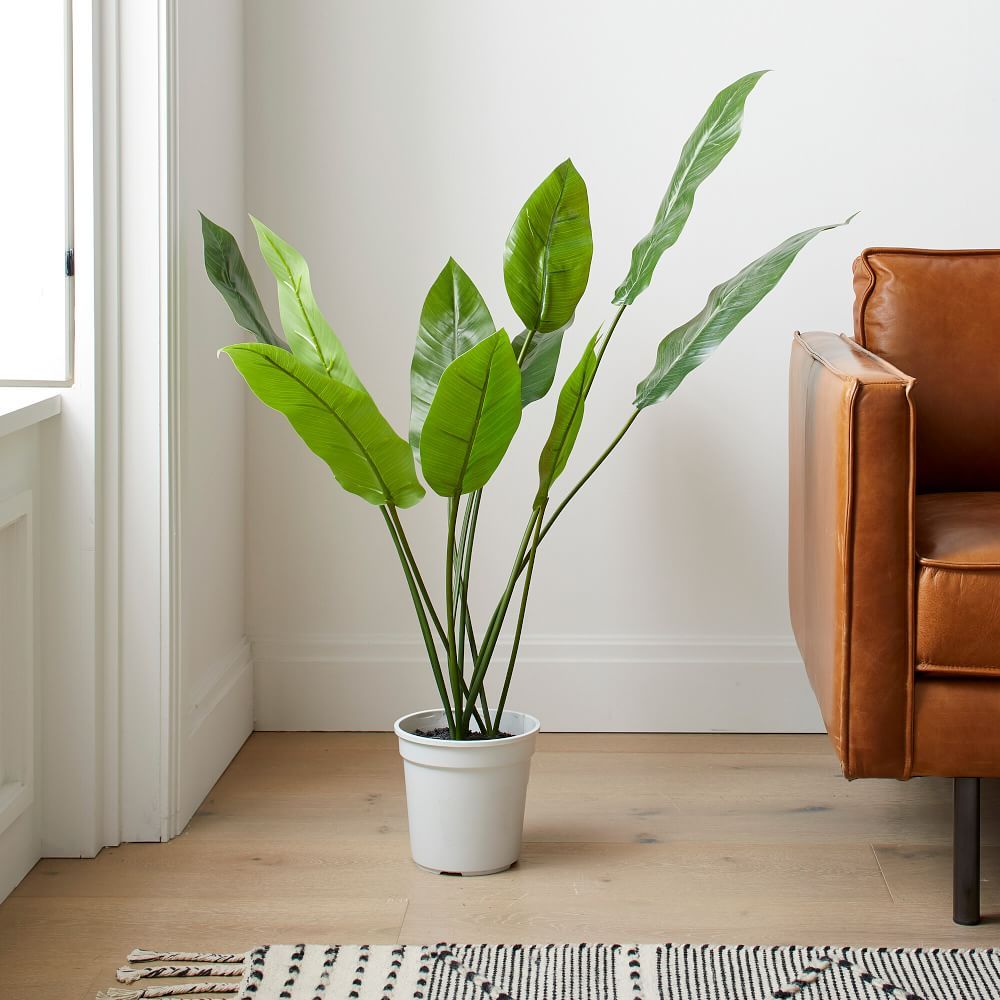 Faux Potted Bird of Paradise, 46in | West Elm (US)