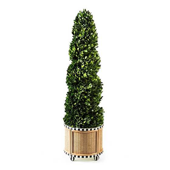 Basket Weave Spiral Medium Boxwood Topiary | MacKenzie-Childs