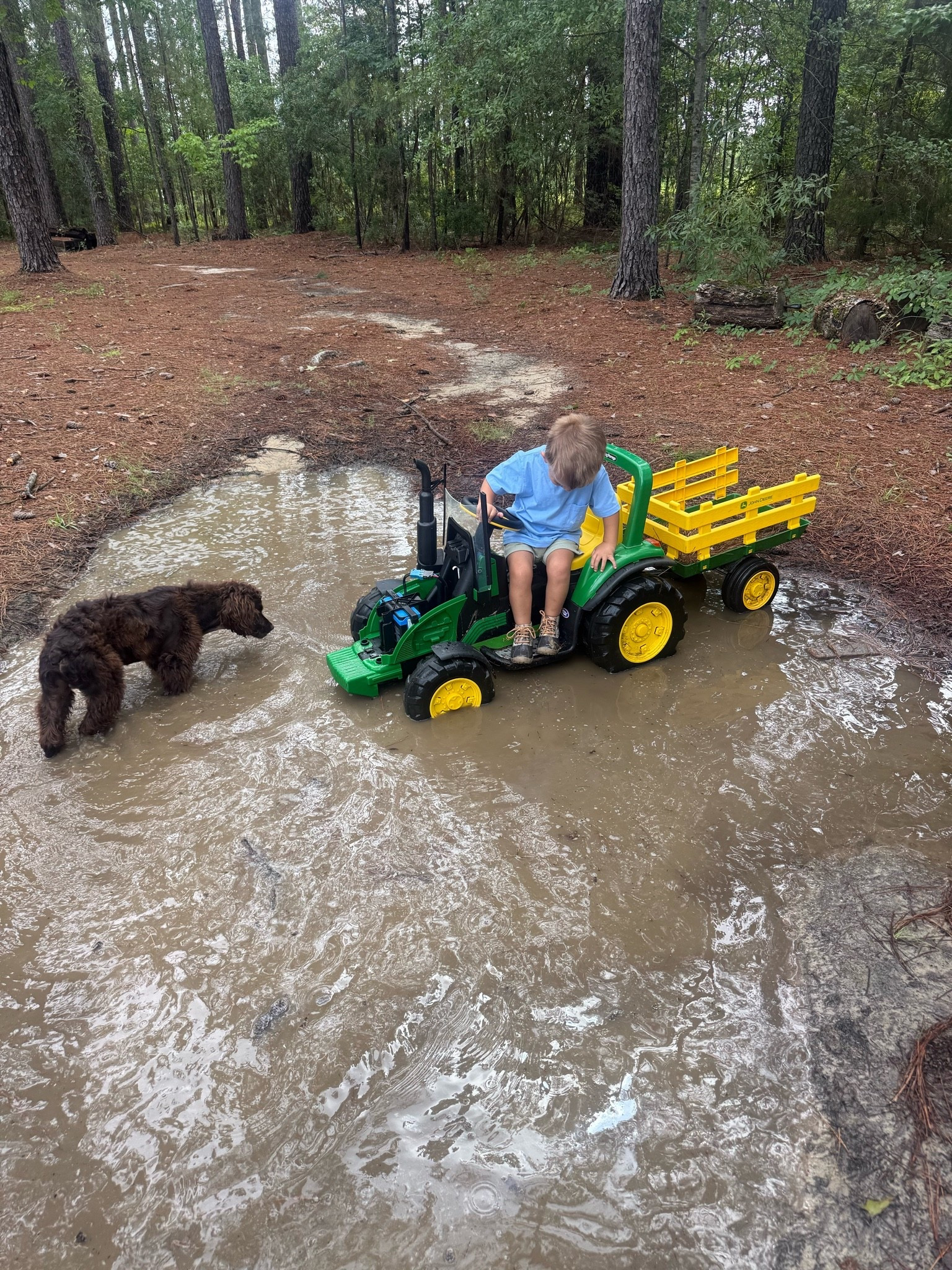Boys will be boys🚜💚

#LTKmomlife #LTKKids #LTKActive