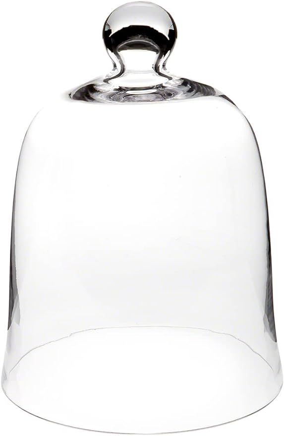 Plymor 8.5" x 11" Bell Jar Glass Display Dome Cloche (Interior size 8.25" x 9.5") | Amazon (US)